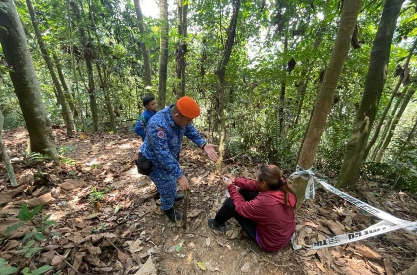  Disangka Harimau, Rupanya Babi Hutan… Wanita Cemas Cetus Misi Menyelamat di Bukit Dinding