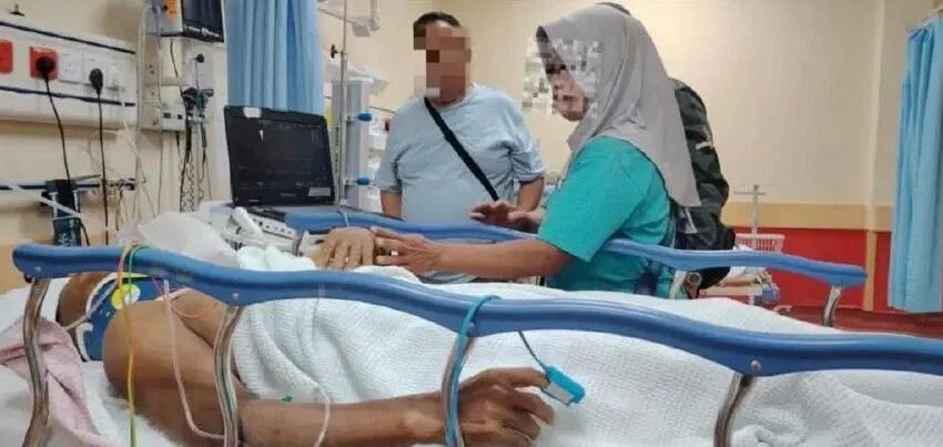  Pekerja Ladang Nepal Parah Diserang Gajah Liar Di Gua Musang