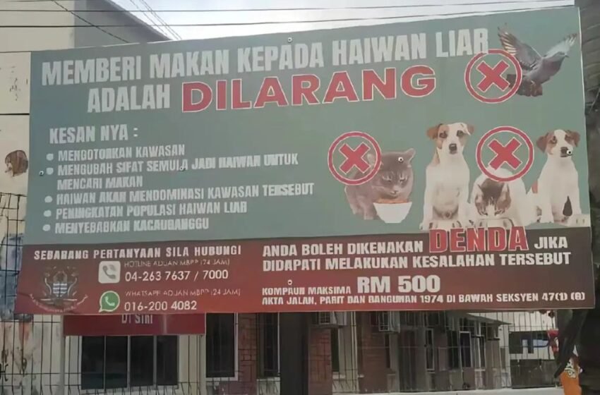 Papan Tanda Larang Beri Makan Pada Haiwan Liar Di Pulau Pinang Cetus Perdebatan